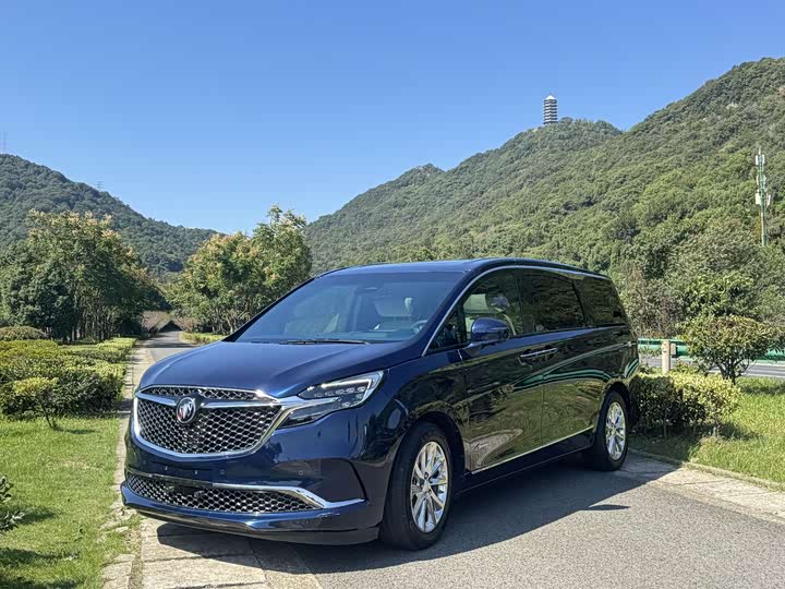 Фото 1 - Buick GL8 ES