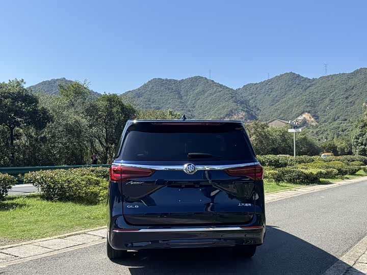 Фото 6 - Buick GL8 ES