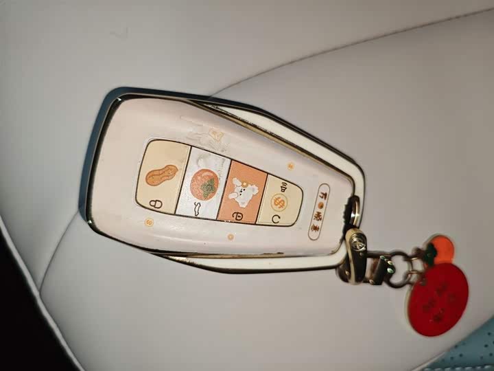 Photo 9 - Geely Geometry E Firefly