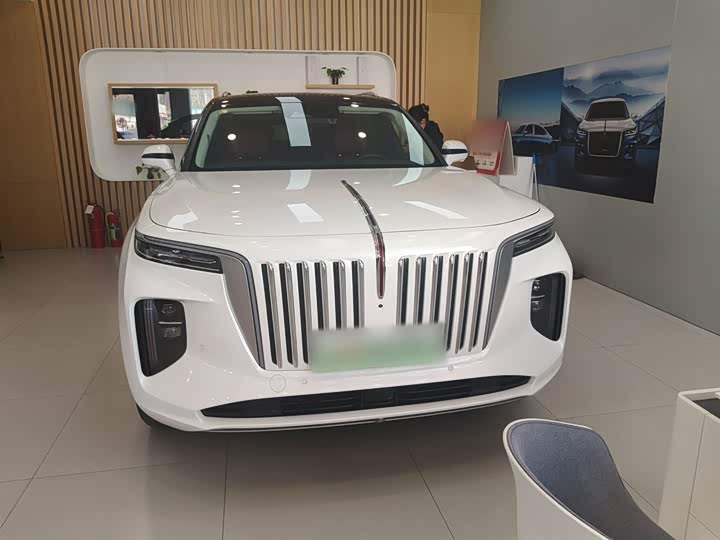 Фото 3 - Hongqi E-HS9