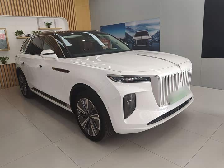 Фото 4 - Hongqi E-HS9