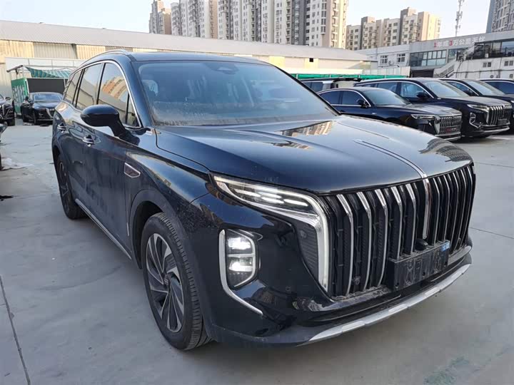 Фото 4 - Hongqi HS7 Hybrid