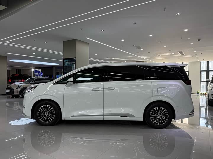 Фото 3 - Denza D9