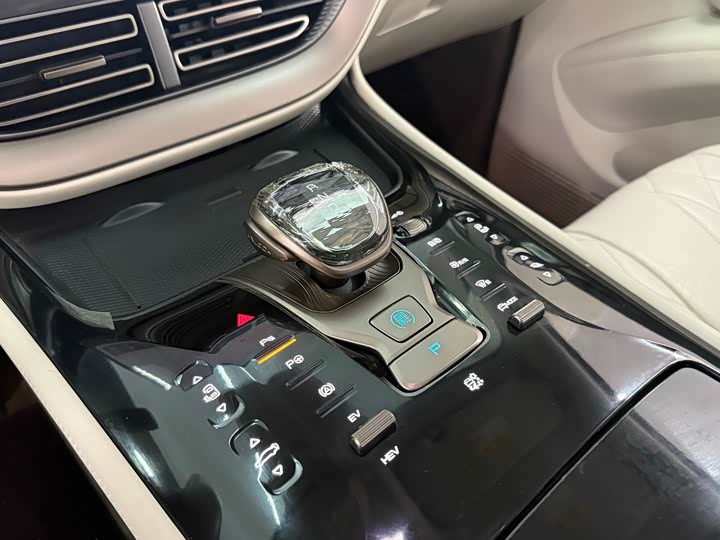 Фото 6 - Denza D9