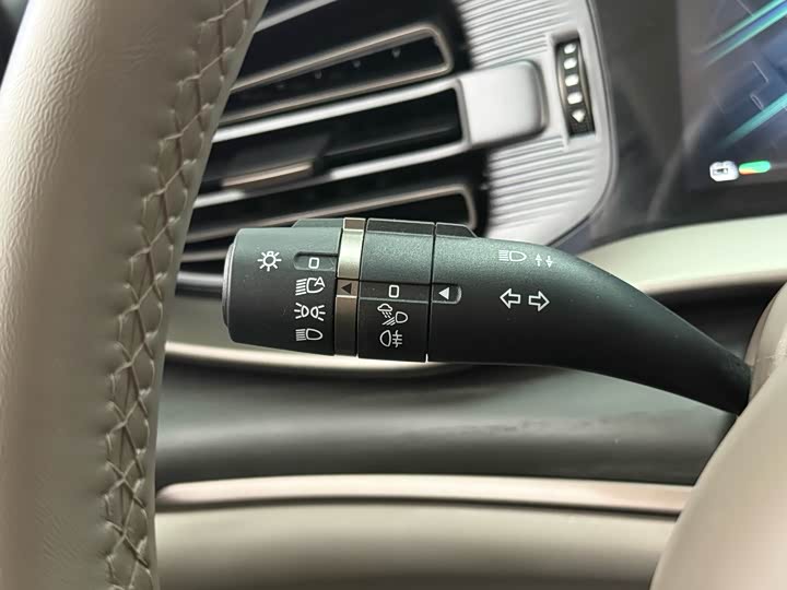 Фото 8 - Denza D9