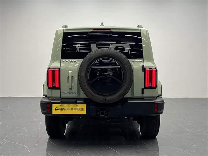 Фото 7 - Tank 300