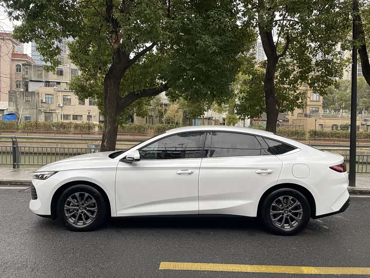 Фото 4 - BYD Qin L
