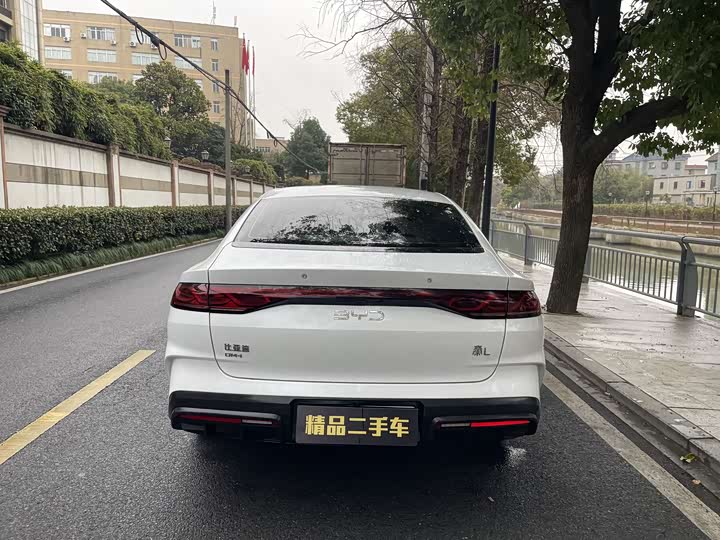 Фото 5 - BYD Qin L