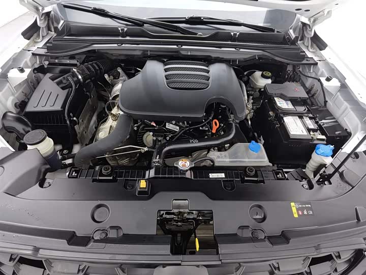 Фото 6 - Great Wall King Kong Poer