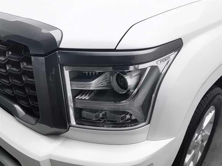 Фото 7 - Great Wall King Kong Poer