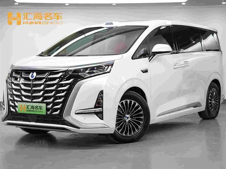 Фото 1 - Denza D9