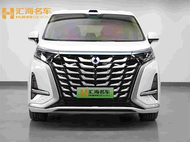 Фото 2 - Denza D9