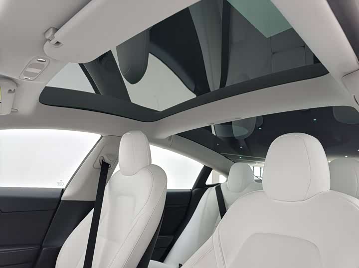 Фото 9 - Tesla Model 3