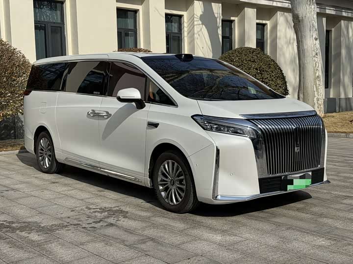 Фото 3 - Wey Gaoshan