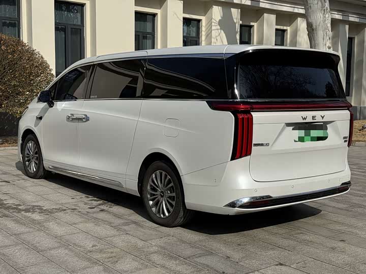 Фото 7 - Wey Gaoshan