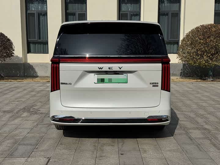 Фото 8 - Wey Gaoshan