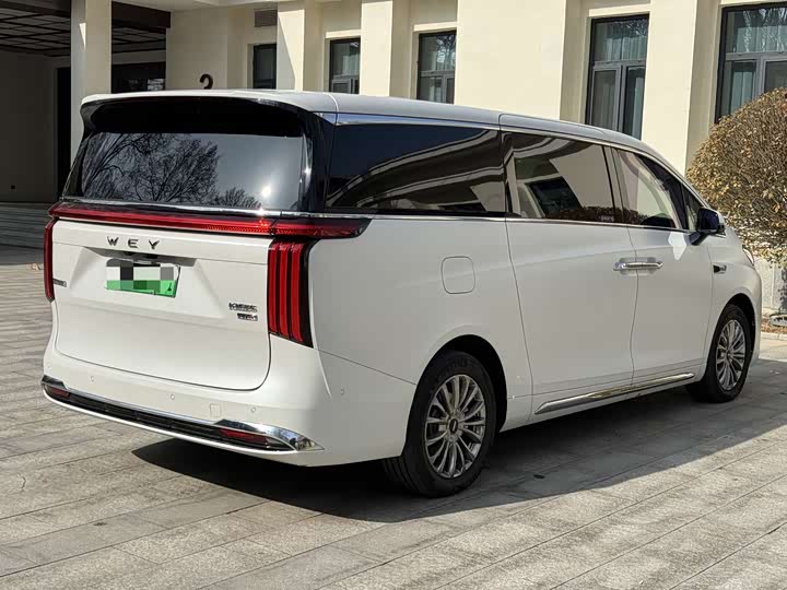 Фото 9 - Wey Gaoshan