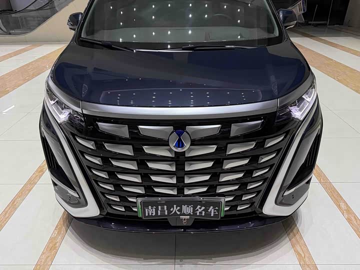 Фото 3 - Denza D9