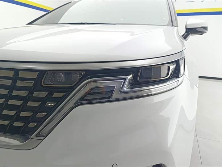 Фото 5 - Kia Carnival