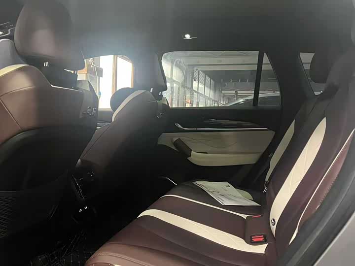 Фото 5 - Geely Monjaro