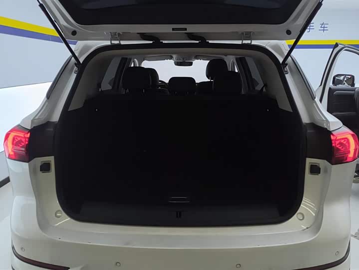 Фото 4 - Roewe RX5 Max