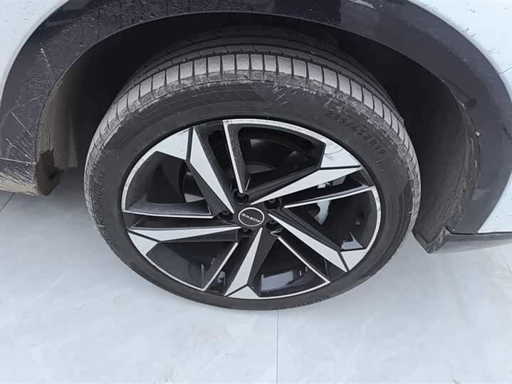 Фото 6 - Roewe RX5 Max