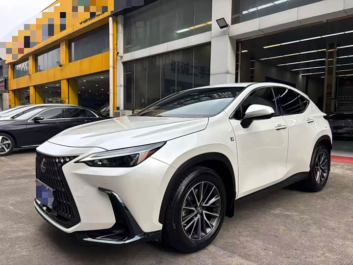 Фото 1 - Lexus NX