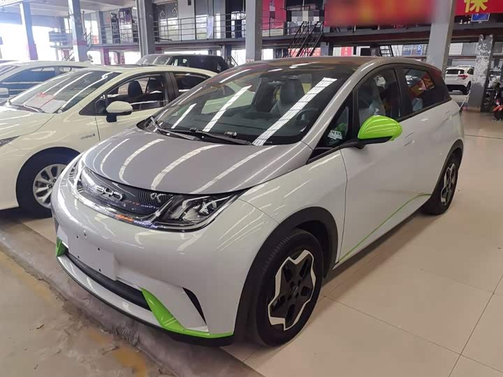 Фото 1 - BYD Dolphin