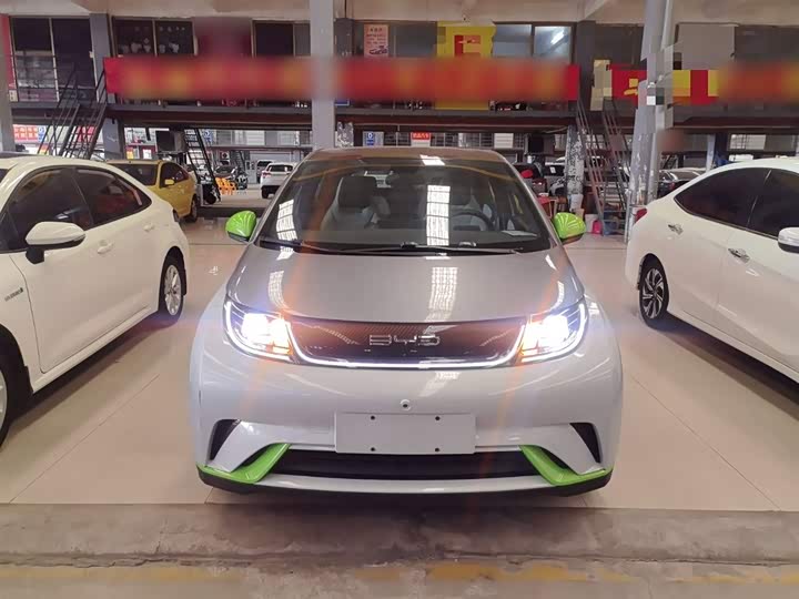 Фото 3 - BYD Dolphin