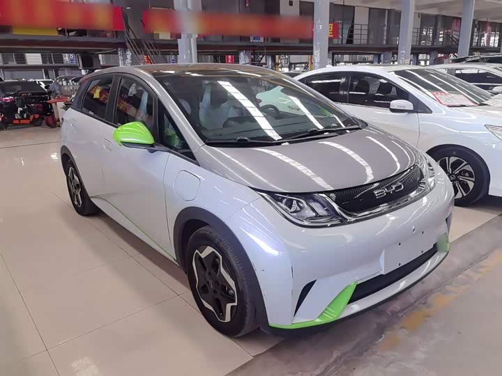 Фото 4 - BYD Dolphin