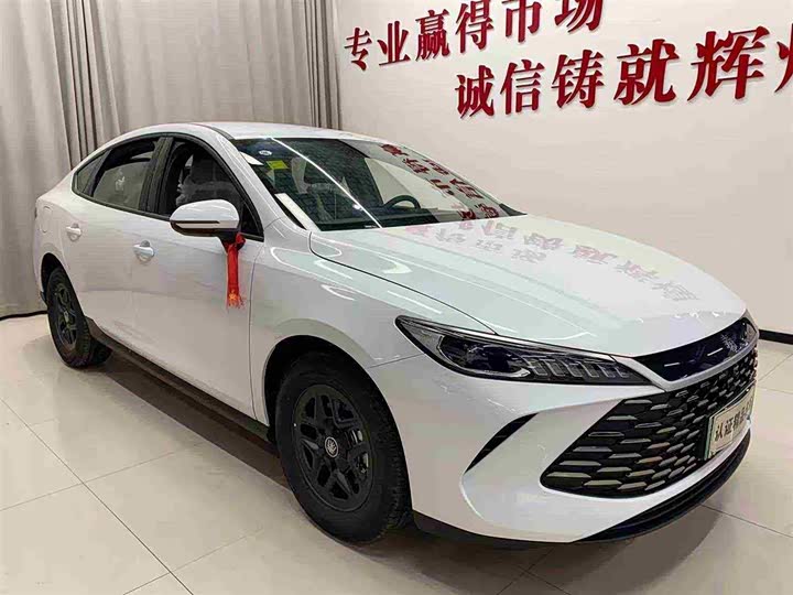 Фото 3 - BYD Qin Plus