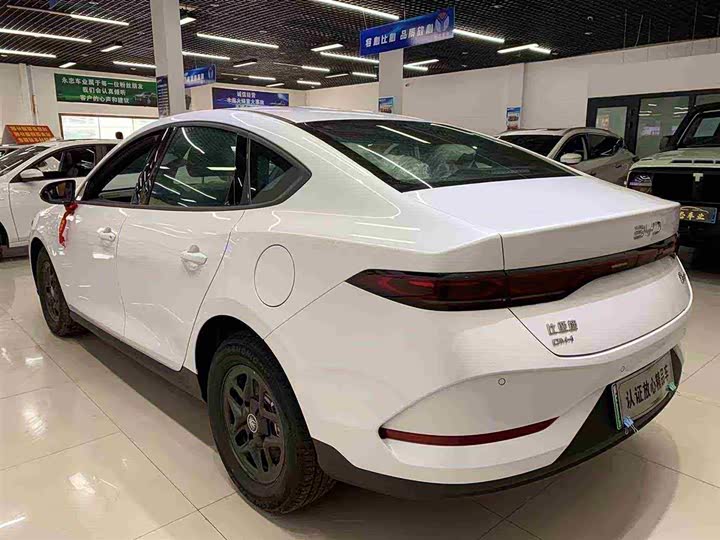 Фото 6 - BYD Qin Plus