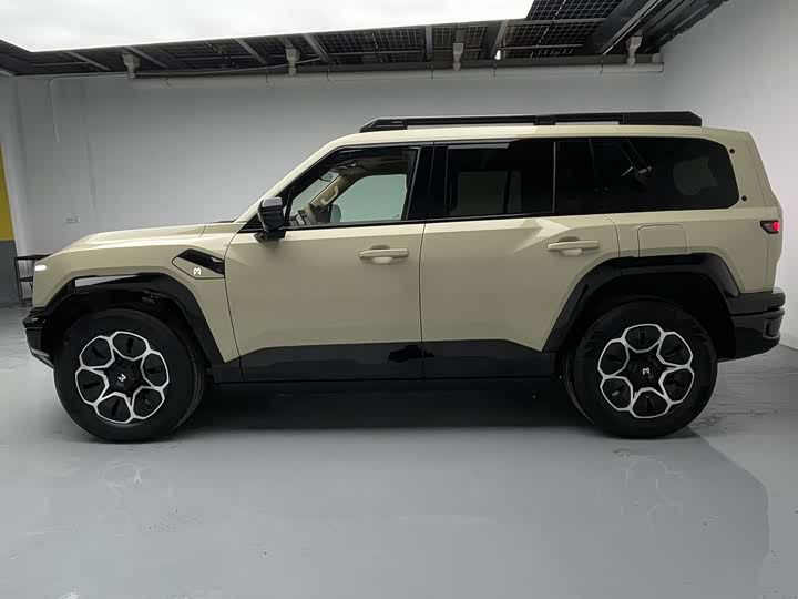 Фото 6 - Dongfeng Mengshi M18-3