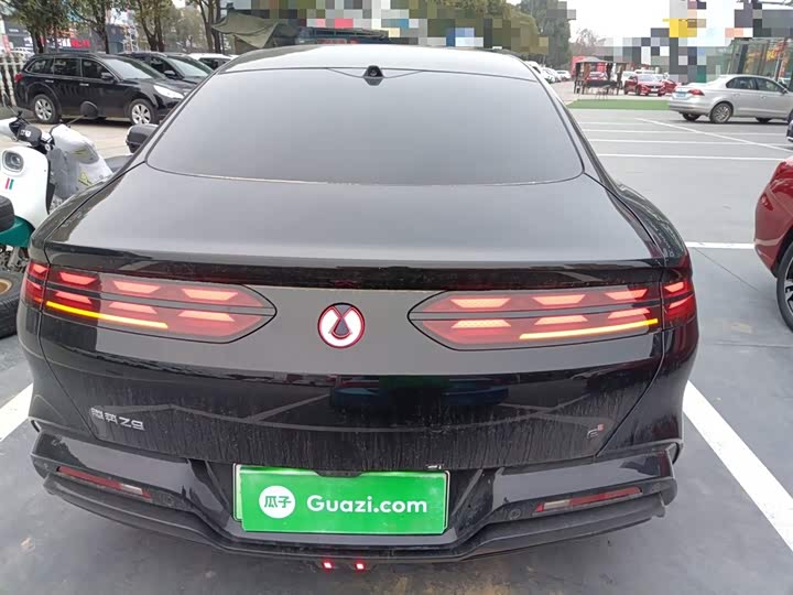 Фото 6 - Denza Z9