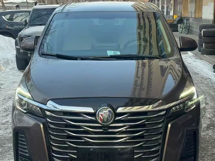 Фото 2 - Buick GL8 ES