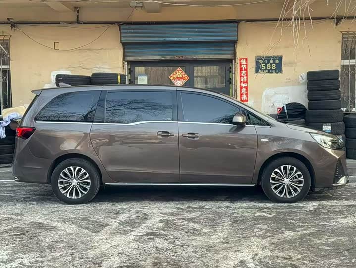 Фото 6 - Buick GL8 ES