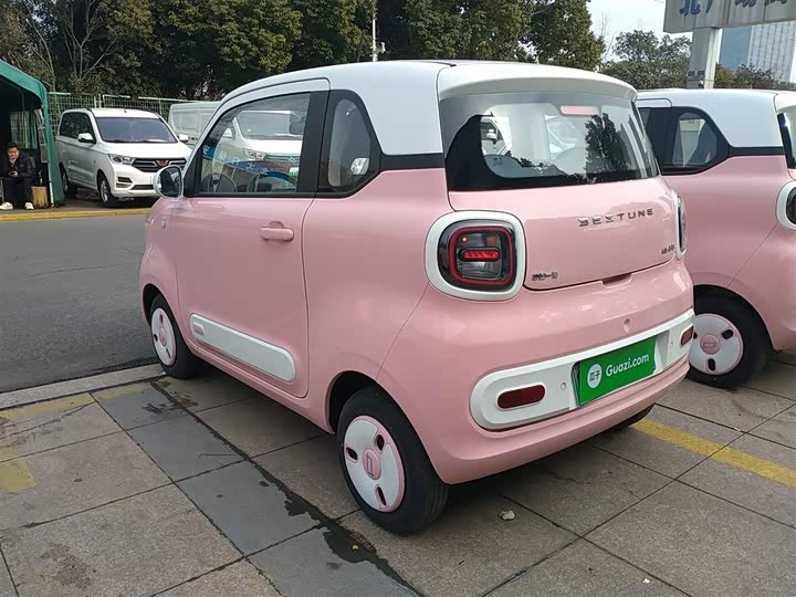 Фото 5 - Bestune Pony