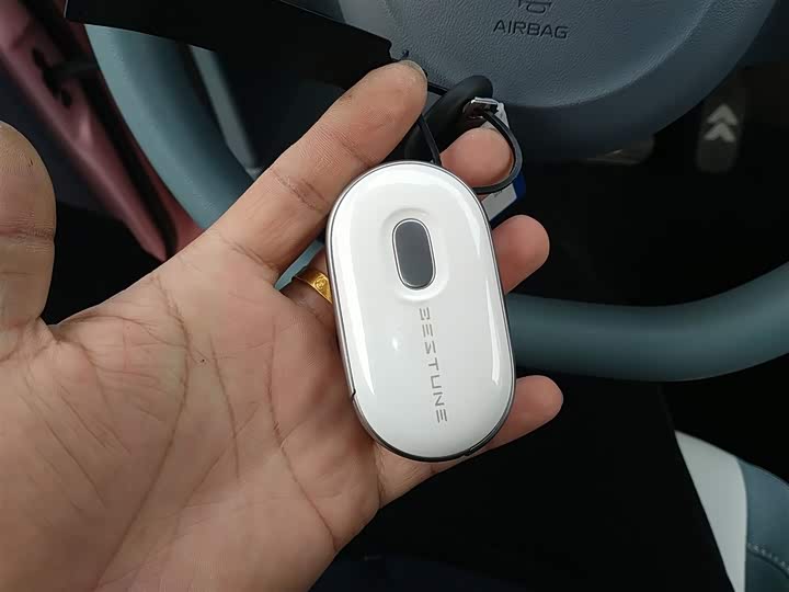 Фото 9 - Bestune Pony