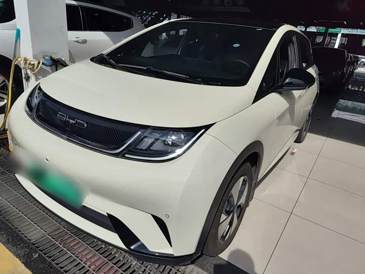 Фото 1 - BYD Dolphin