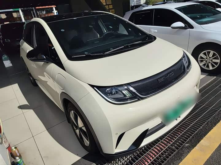 Фото 4 - BYD Dolphin