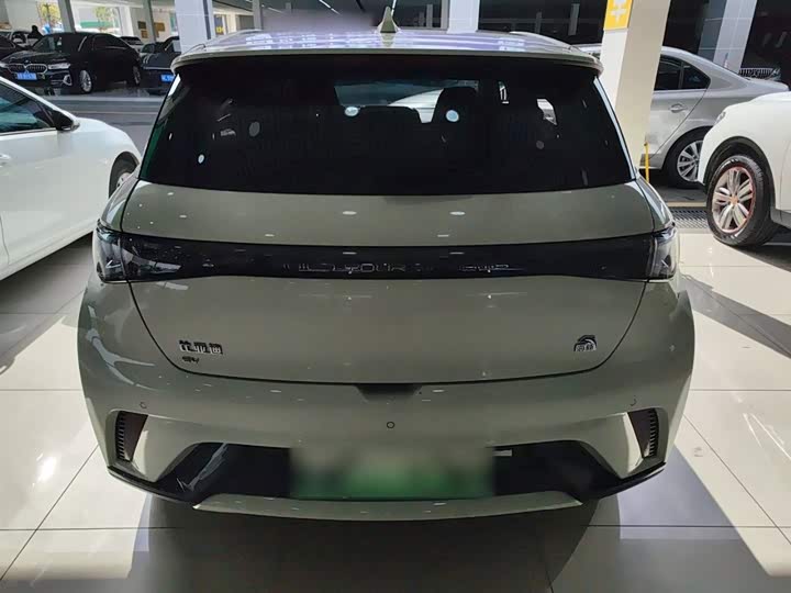 Фото 6 - BYD Dolphin