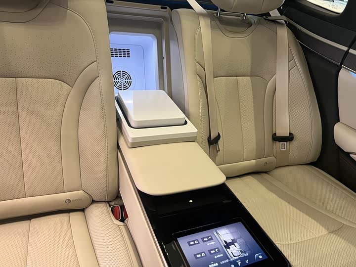 Фото 8 - Denza Z9