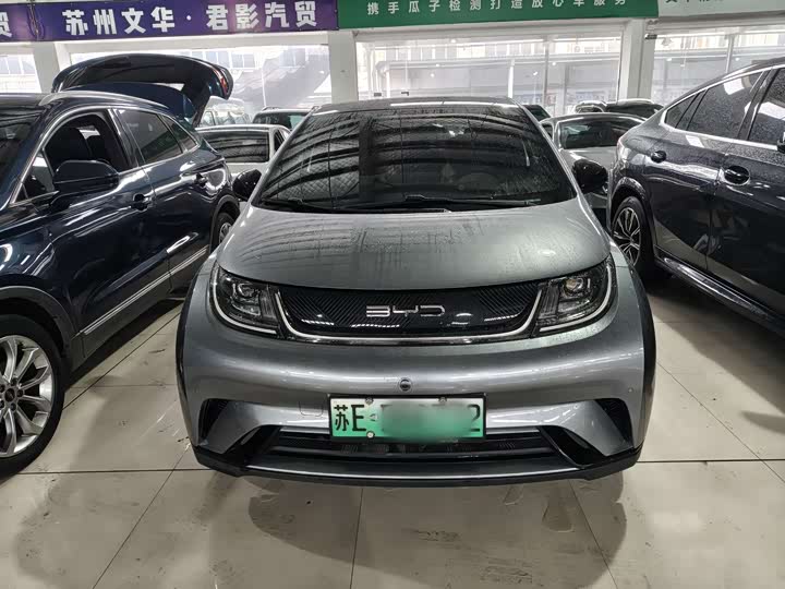 Фото 1 - BYD Dolphin