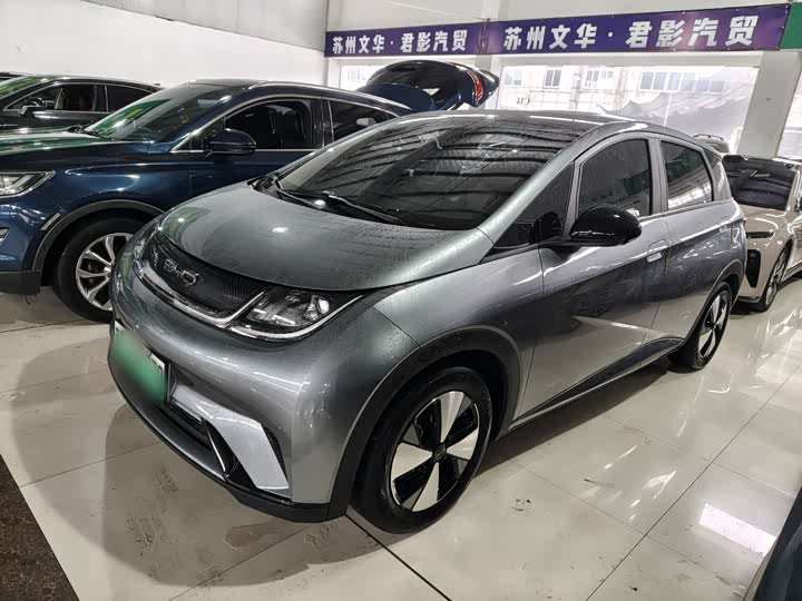 Фото 2 - BYD Dolphin