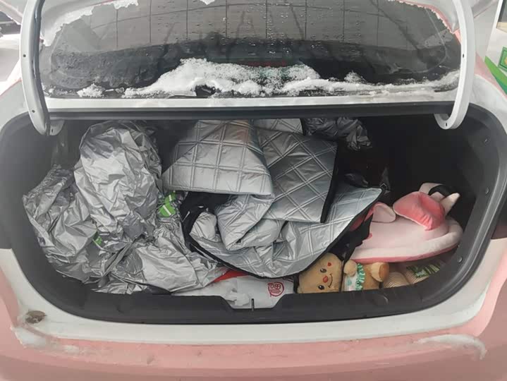 Фото 4 - Changan Eado Plus