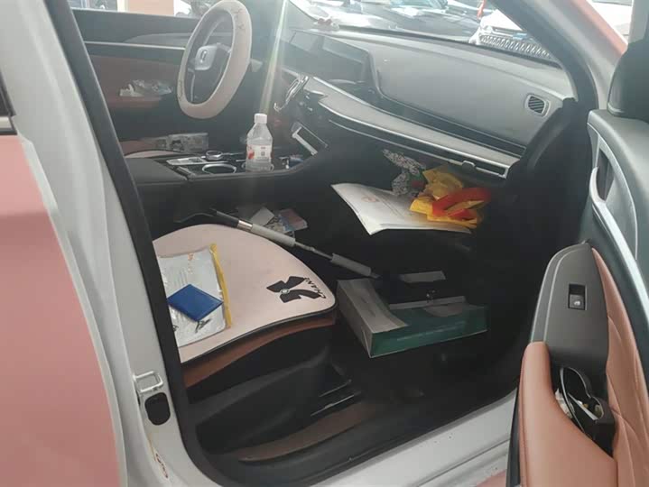 Фото 8 - Changan Eado Plus