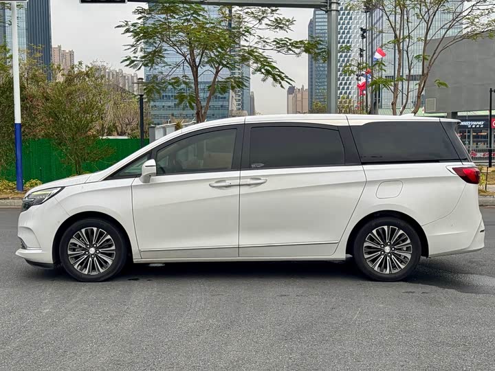 Фото 7 - Buick GL8 ES