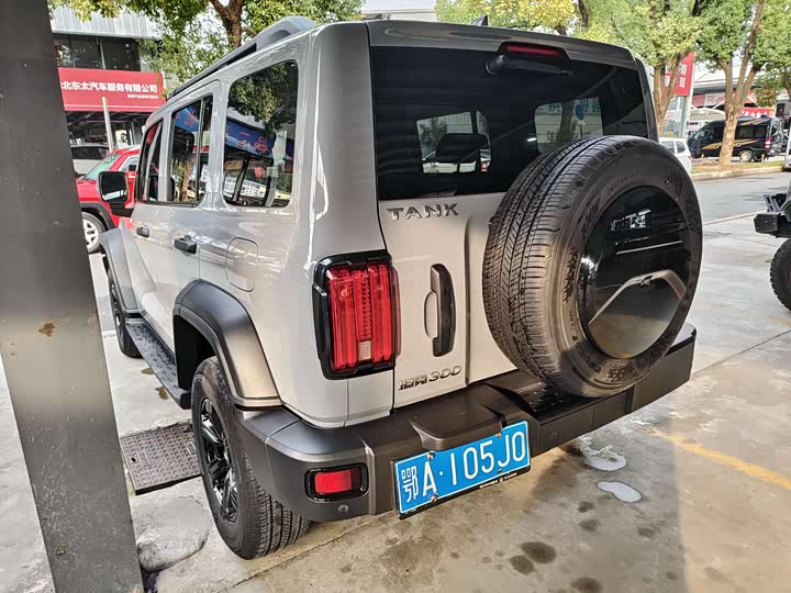 Фото 9 - Tank 300