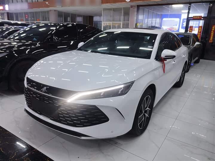Фото 1 - BYD Qin L