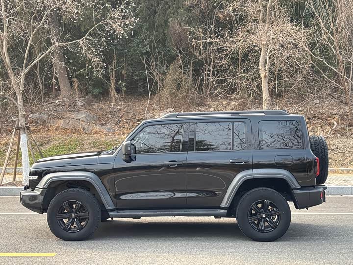 Фото 4 - Tank 300